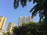 阳春市房产红本抵押银行贷款&车辆抵押业主消费贷款，附近个人贷款办理