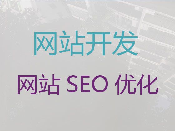 广州市网站建设制作|crm系统开发，专业开发团队