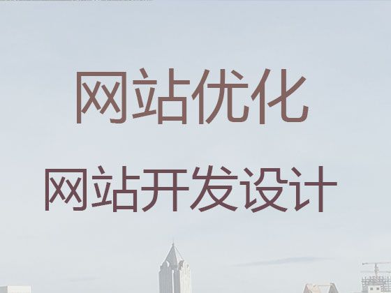 苏州市网站优化推广服务公司|外贸网站建设，高端网站开发设计