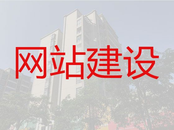 芜湖市网站开发制作服务|erp系统开发，专业团队
