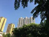 攀枝花市住房二次抵押贷款&车辆抵押企业经营大额贷款，个体户经营贷款