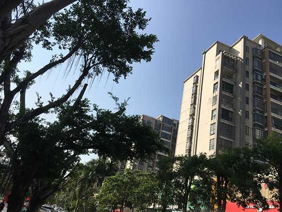 天水市小面积房子抵押贷款，房屋抵押贷款流程，个体户经营贷款
