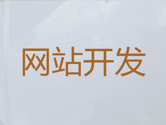 蚌埠市商城网站定制开发|搜索引擎优化，高端网站开发设计