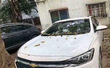 怀化市汽车贷款门店-车子贷款押绿本