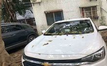 茂名市车子贷款押大本-押车绿本贷款