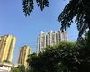 青岛市房抵贷银行办理&房屋抵押银行贷款，停息挂账申请延期还款