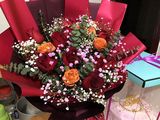 长春市花草摆租|君子兰盆栽，设计写字楼室外绿化