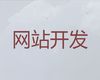 天津市品牌网站建设公司-app开发，高端网站开发设计